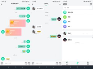 最新鸽哒IM即时通讯系统源码 带安卓、苹果、PC端（全开源）+部署教程-山水资源站