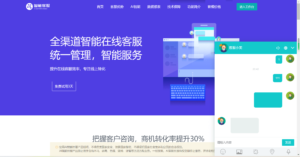多语言在线客服 AI智能客服 多语言交流网站 多商户机器人 即时通讯聊天 翻译多语言在线翻译-山水资源站