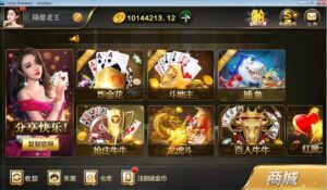 微星棋牌游戏源码下载，纯源码 非组件10多个G，适合二次开发！-山水资源站