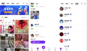 一对一语音视频直播双端原生+php后台源码 社交交友APP匹配语音视频聊天即时通信源码-山水资源站