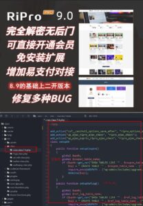 Ripro 9.0 免扩展版全解密无后门 WordPress博客深度主题-山水资源站
