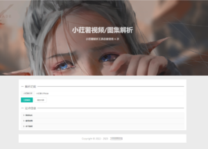 全新小红书图集和视频解析去水印网站源码-山水资源站