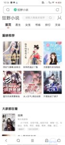 小说网站源码带管理后台手机端和采集-山水资源站