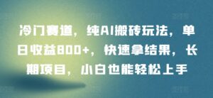 冷门赛道，纯AI搬砖玩法，单日收益800+，快速拿结果，长期项目，小白也能轻松上手【揭秘】-山水资源站