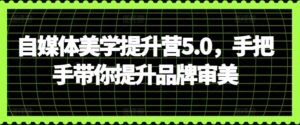 自媒体美学提升营5.0，手把手带你提升品牌审美-山水资源站