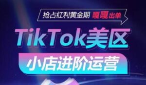 TikTok Shop美区小店进阶运营，抢占红利黄金期 嘎嘎出单-山水资源站