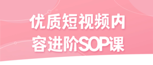 优质短视频内容进阶SOP课-山水资源站
