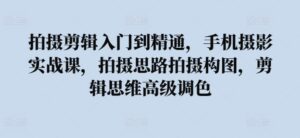 拍摄剪辑入门到精通，​手机摄影实战课，拍摄思路拍摄构图，剪辑思维高级调色-山水资源站