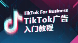 TikTok广告入门教程，从0到1掌握TikTok投放的全流程-山水资源站