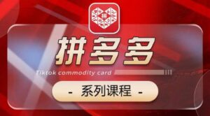 2024拼多多系列课，【基础】【运营】【活动】【推广】【玩法】5大模块-山水资源站