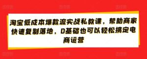 淘宝低成本爆款流实战私教课，帮助商家快速复制落地，0基础也可以轻松搞定电商运营-山水资源站