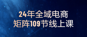 2024年全域电商矩阵109节线上课-山水资源站