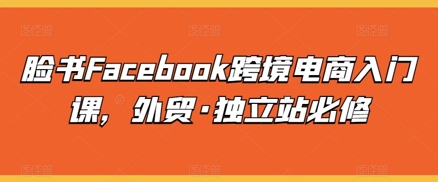 脸书Facebook跨境电商入门课,外贸·独立站必修插图 脸书Facebook跨境电商入门课,外贸·独立站必修插图