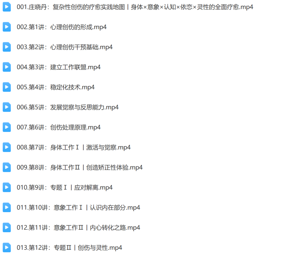 复杂性创伤的多元疗愈之道20讲插图1