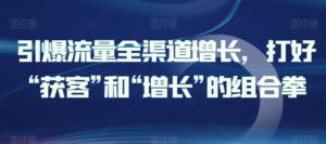 引爆流量全渠道增长，打好“获客”和“增长”的组合拳-山水资源站