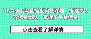 2024线上流量操盘实战课程，搭建高人效流量团队，掌握多平台流量-山水资源站