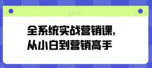 全系统实战营销课，从小白到营销高手-山水资源站