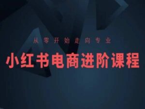 从零开始走向专业，小红书电商进阶课程-山水资源站