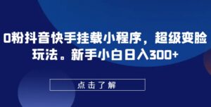 0粉抖音快手挂载小程序，超级变脸玩法，新手小白日入300+【揭秘】-山水资源站