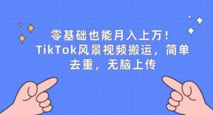 零基础也能月入上w，TikTok风景视频搬运，简单去重，无脑上传【揭秘】-山水资源站