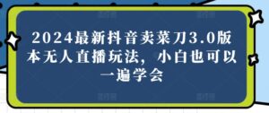 2024最新抖音卖菜刀3.0版本无人直播玩法，小白也可以一遍学会【揭秘】-山水资源站