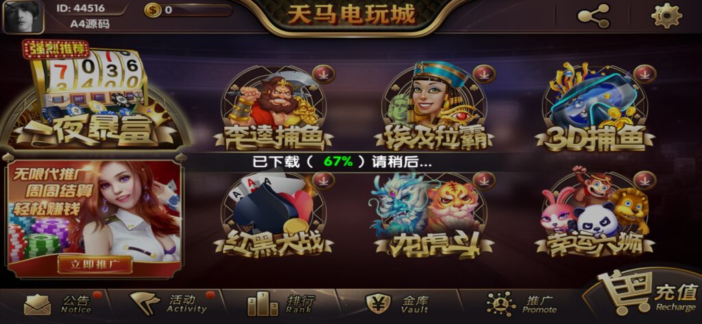 【组件+授权工具】最新一夜暴富天马电玩城完美服务器打包版本+完整数据+游戏众多插图1 【组件+授权工具】最新一夜暴富天马电玩城完美服务器打包版本+完整数据+游戏众多插图1