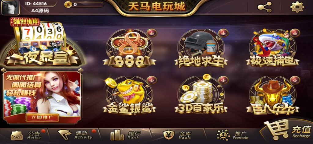 【组件+授权工具】最新一夜暴富天马电玩城完美服务器打包版本+完整数据+游戏众多插图3 【组件+授权工具】最新一夜暴富天马电玩城完美服务器打包版本+完整数据+游戏众多插图3