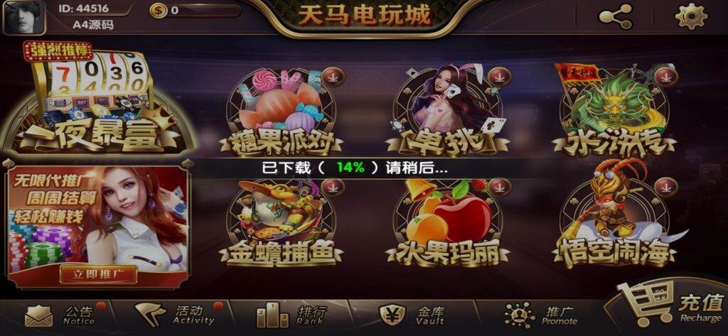 【组件+授权工具】最新一夜暴富天马电玩城完美服务器打包版本+完整数据+游戏众多插图4 【组件+授权工具】最新一夜暴富天马电玩城完美服务器打包版本+完整数据+游戏众多插图4