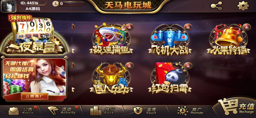 【组件+授权工具】最新一夜暴富天马电玩城完美服务器打包版本+完整数据+游戏众多插图5 【组件+授权工具】最新一夜暴富天马电玩城完美服务器打包版本+完整数据+游戏众多插图5