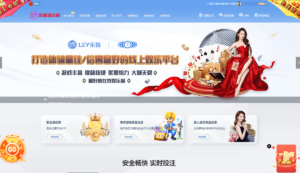 多语言乐娱LEY博弈对战娱乐系统,运营版已增加USDT充值-山水资源站