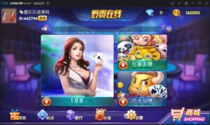 黔贵在线棋牌娱乐游戏全套运营版-山水资源站