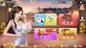 网狐房卡组件系列闲玩麻将跑胡子欢乐打字牌扑克合集-山水资源站
