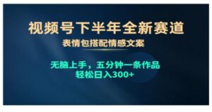 视频号下半年全新赛道，表情包搭配情感文案 无脑上手，五分钟一条作品-山水资源站