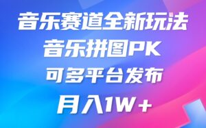 音乐赛道新玩法，纯原创，所有平台均可发布 略微有点门槛-山水资源站