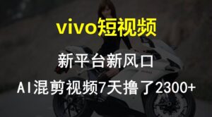 vi-vo短视频:新平台新风口，AI混剪视频-山水资源站