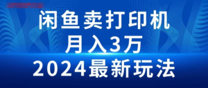 2024闲鱼卖打印机，月入3万，2024最新玩法-山水资源站