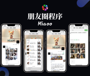 Miaoo朋友圈程序全开源版源码-山水资源站