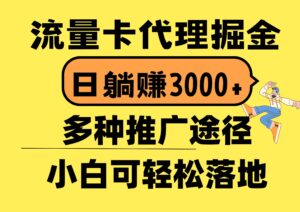 流量卡代理掘金，日躺赚3000+，首码平台变现更暴力，多种推广途径-山水资源站