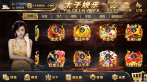 最新更新思博二开太子娱乐完整服务器打包数据+双端app完整带视频教程-山水资源站