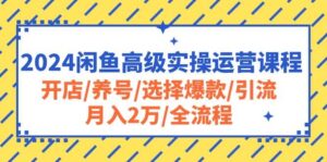 2024闲鱼高级实操运营课程：开店/养号/选择爆款/引流/月入2万/全流程-山水资源站