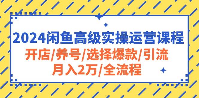 2024闲鱼高级实操运营课程:开店/养号/选择爆款/引流/月入2万/全流程插图 2024闲鱼高级实操运营课程:开店/养号/选择爆款/引流/月入2万/全流程插图