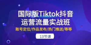 国际版Tiktok抖音运营流量实战班：账号定位/作品发布/热门推送/等等-13节-山水资源站