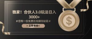 游戏合伙人3.0，日入3000+，无限扩大的蓝海项目-山水资源站