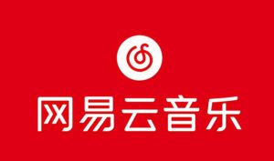 网易音乐人2024.5月最新教程，简单无脑，收益第二天可见-山水资源站