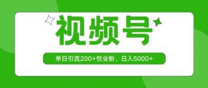 视频号，单日引流200+创业粉，日入5000+-山水资源站