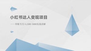 小红书达人变现项目：单账号月入1500-3000实战讲解-山水资源站