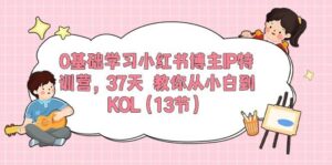 0基础学习小红书博主IP特训营，37天 教你从小白到KOL（13节）-山水资源站