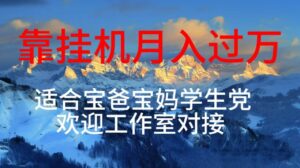 每天躺着日入几百挂机项目，适合宝爸宝妈学生党工作室对接-山水资源站