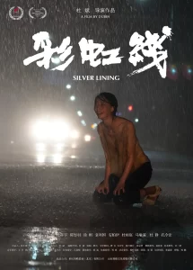 彩虹线 丨剧情丨国产2024-山水资源站