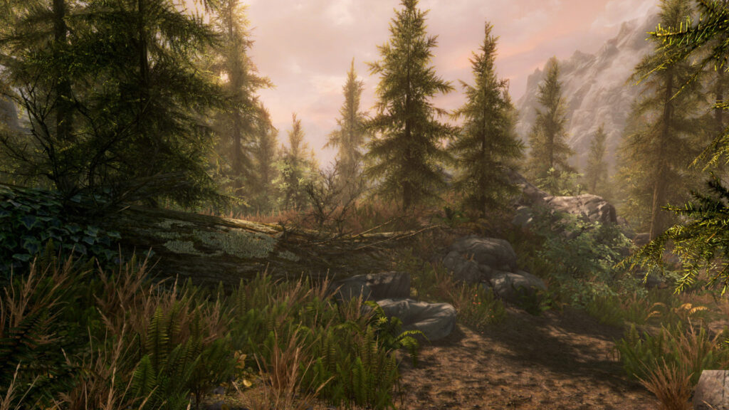 《上古卷轴5:周年纪念版/上古卷轴5:天际10周年重制版/The Elder Scrolls V: Skyrim Special Edition》V1.6.1179.0.8|官方繁体中文|支持键鼠.手柄|容量30GB插图 《上古卷轴5:周年纪念版/上古卷轴5:天际10周年重制版/The Elder Scrolls V: Skyrim Special Edition》V1.6.1179.0.8|官方繁体中文|支持键鼠.手柄|容量30GB插图